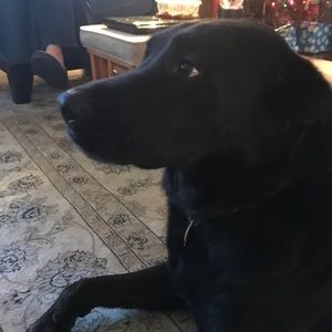 Meet your Posher, Jayden